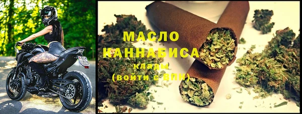 дмт Алексин